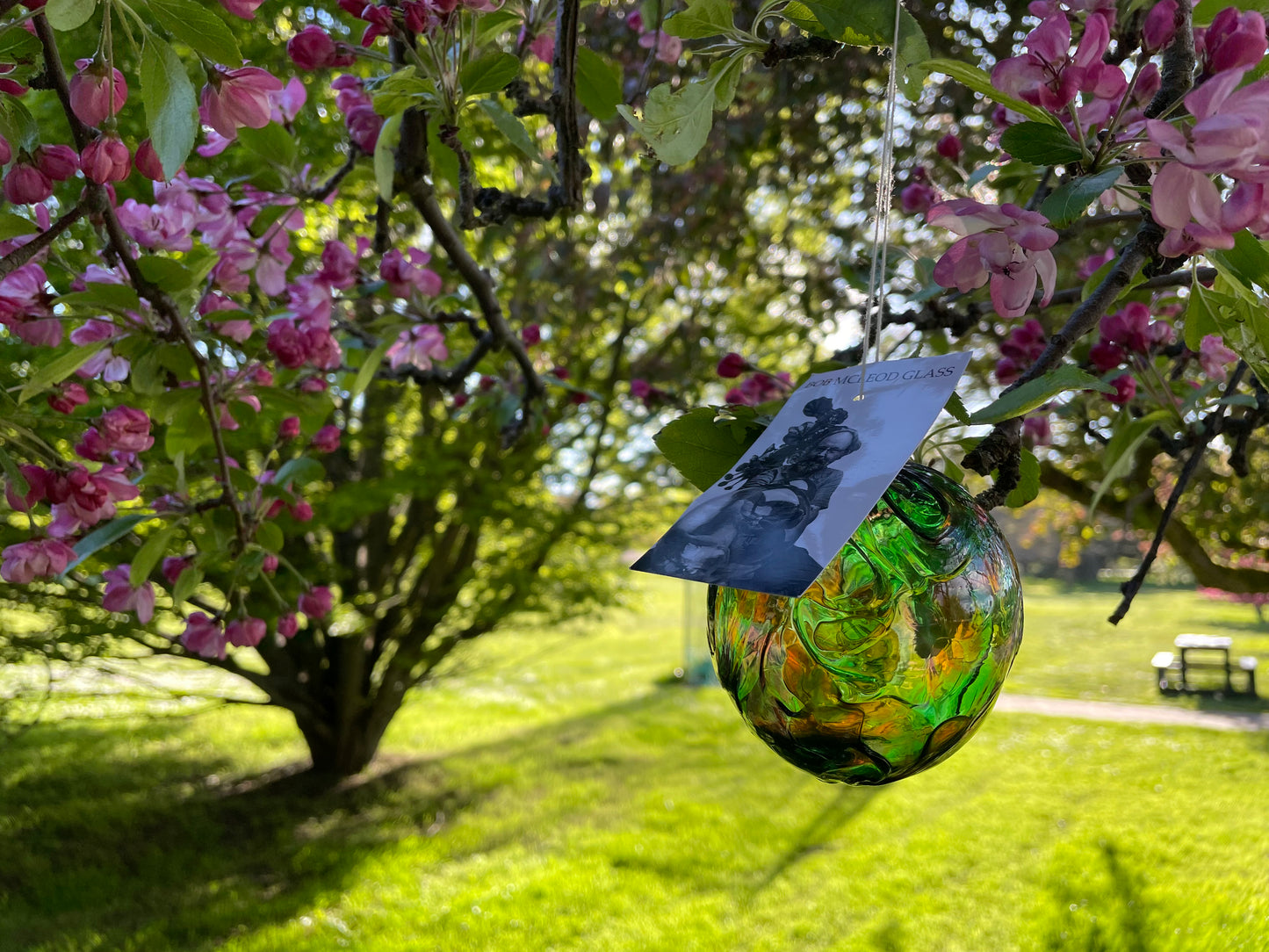 Multi Colour Ornament